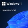 Microsoft Windows 11 Pro (FQC-10528)